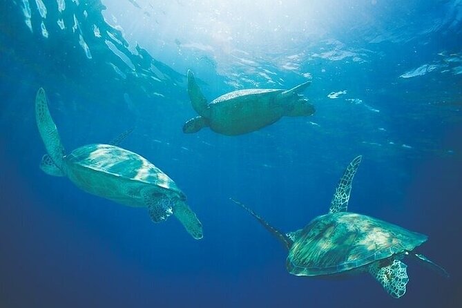 Kona Luxury Catamaran Yacht Snorkel & Sail - The crew and the small-group “VIP feel”