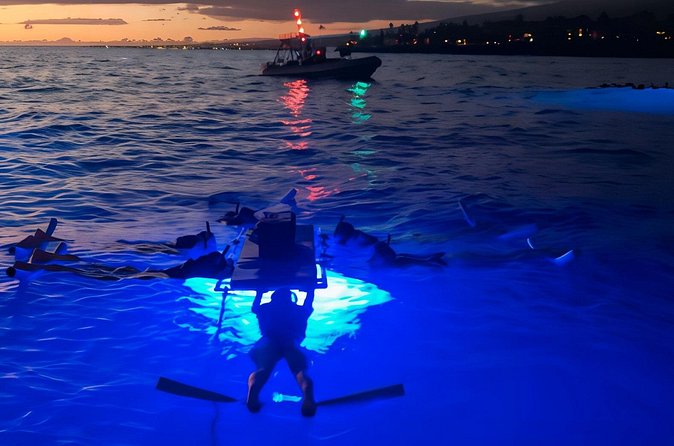 Kona Manta Night Snorkel: Swim with Mantas, Small Group (6 max) - Gear and Setup: Getting Ready Without the Fuss