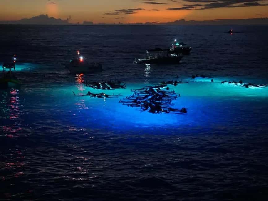 Kona: Manta Ray Night Snorkel Adventure - Key things that make this manta ray tour worth your time