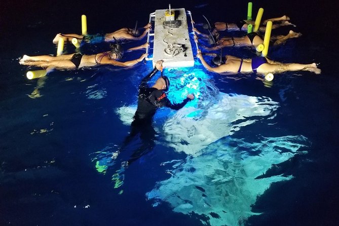 KONA Manta Ray Night Snorkel - FREE re-ride if no Sightings - Key Points Worth Booking For