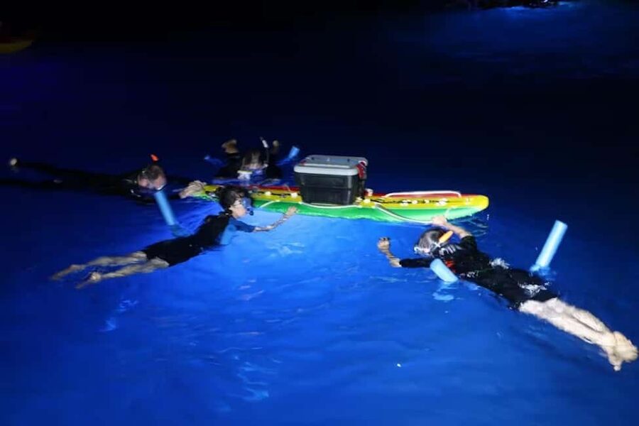 Kona: Manta Ray Snorkel Tour, Guaranteed or Come Again Free - Why the small 14-person boat changes your odds