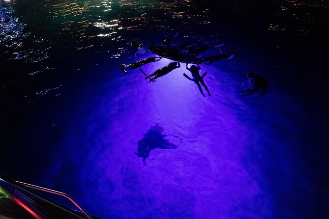 Kona Night Manta Snorkel Tour - Why Night Manta Snorkeling Works So Well in Kona