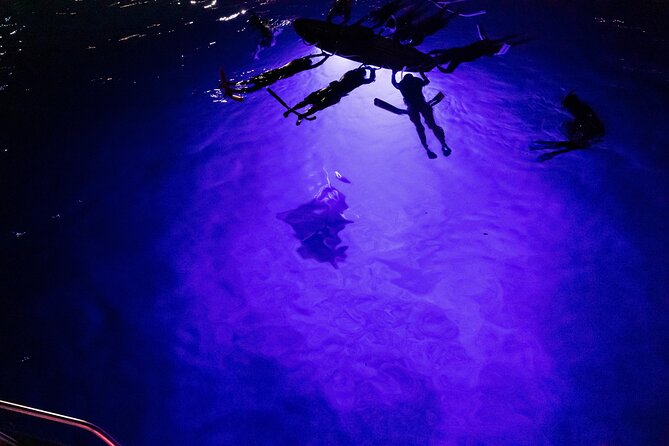 Kona Night Manta Snorkel Tour - The Kona Shore Cruise: What the Time Before the Water Adds