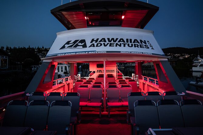 Kona Night Manta Snorkel Tour - Who Should Book This (and Who Might Think Twice)