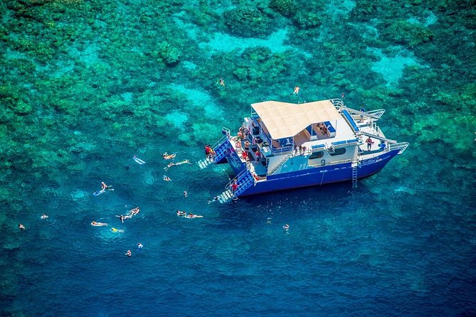 Kona’s Best Morning Snorkel: Captain Cook & Kealakekua Bay - Kealakekua Bay Marine Preserve: why this site is a snorkeler’s priority