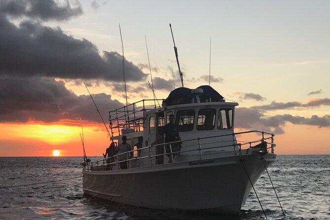 Kona's Guaranteed Whale Watch: An Unforgettable Ocean Encounter - Kona whale season runs on a clock