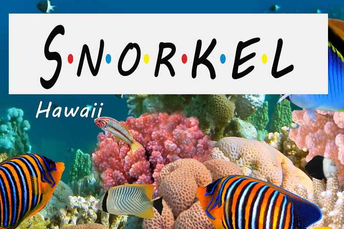 Kona Shore Excursion: Wild Dolphin Reefs Snorkel and Sea Caves - Kealakekua Bay Snorkeling: Captain Cook Area, Turtles, and Old Coral