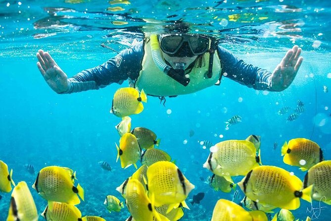 Kona Shore Excursion: Wild Dolphin Reefs Snorkel and Sea Caves - Sea Caves and Shore Stops: How They Add Story Without Slowing You Down