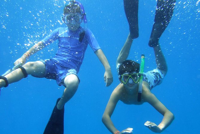 Kona Shore Excursion: Wild Dolphin Reefs Snorkel and Sea Caves - Safety, Gear, and the Small Details That Matter at Sea