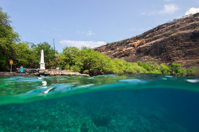 Kona Shore Excursion: Wild Dolphin Reefs Snorkel and Sea Caves - Price and Value: Is $149 Reasonable for a 3-Hour Excursion?