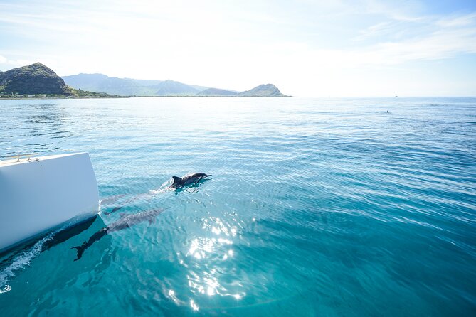 Kona Signature Catamaran Sunset Sail - A 90-minute Kona sunset cruise with a catamaran that’s built for comfort