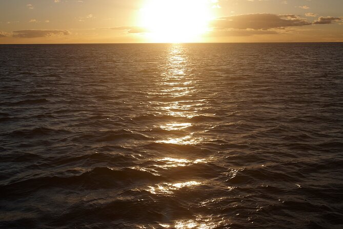 Kona Signature Catamaran Sunset Sail - Stop 2: Honokohau Marina and Small Boat Harbor, then out toward wildlife chances
