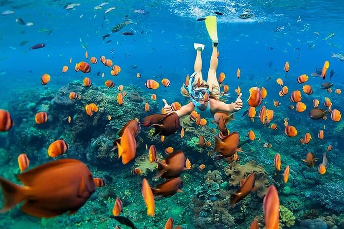 Kona Snorkel Tour: Captain Cook Reef Snorkel, Dolphin & Sea Caves - Captain Cook Monument and the coastline stop that adds meaning