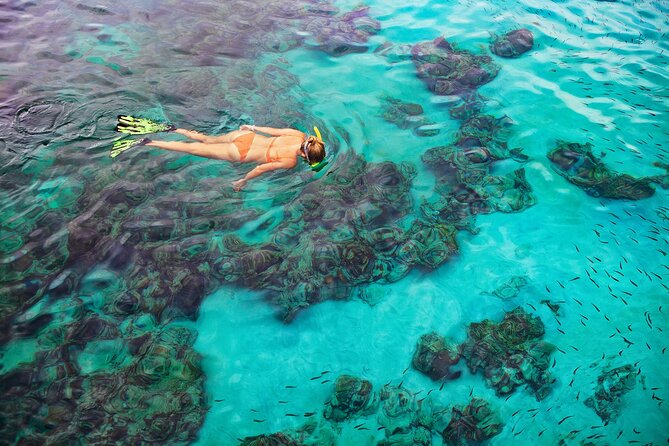 Kona Snorkel Tour: Captain Cook Reef Snorkel, Dolphin & Sea Caves - Who this is best for (and who might want another option)