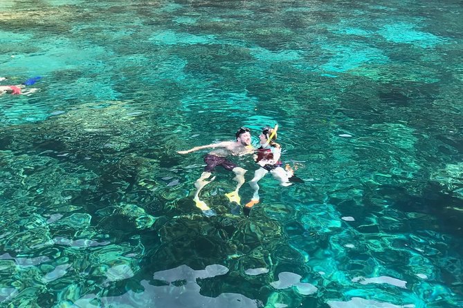Kona Snorkeling: Beat the Crowd to Kealakekua Bay - Key highlights that matter on this Kona snorkeling trip