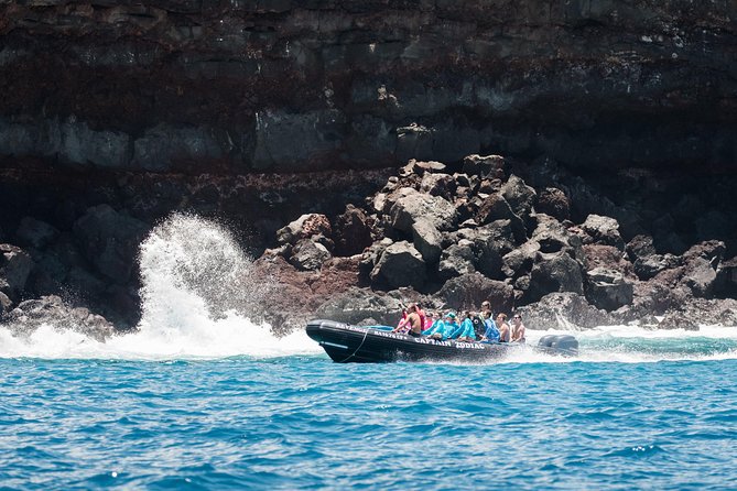 Kona Snorkeling: Beat the Crowd to Kealakekua Bay - First stop: Captain Zodiac check-in (AC, restrooms, and the dog welcome)