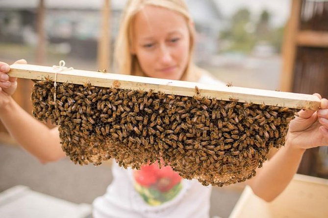 Kona Tour: Bee Farm, Kona Coffee, and National Historical Parks - A Morning Minivan Route of Kona’s Farms and Sacred Sites