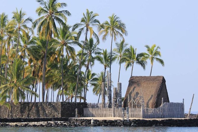 Kona Tour: Bee Farm, Kona Coffee, and National Historical Parks - Big Island Bees Since 1972: Seeing the Hive and Tasting the Difference