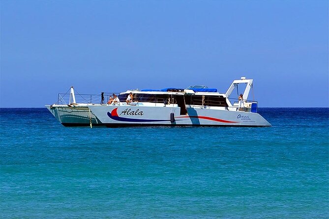 Late-Morning Whale Watch on our Power Catamaran - How the 1.5-hour timing usually feels