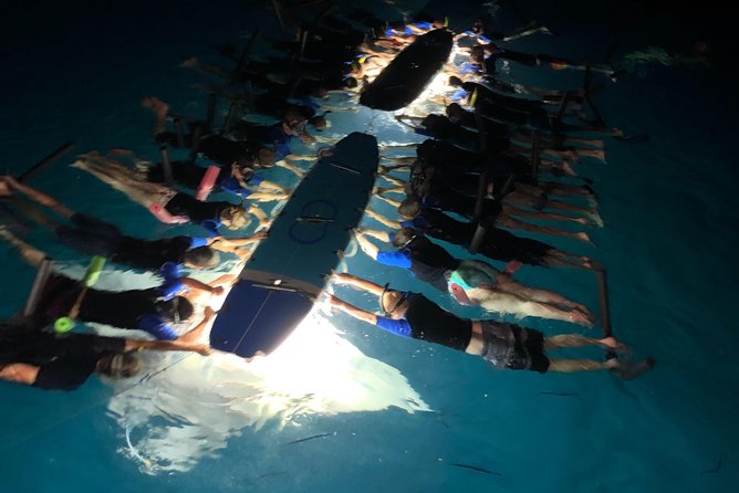 Late Night Manta Snorkel - The catamaran ride: 2 hours that set the tone