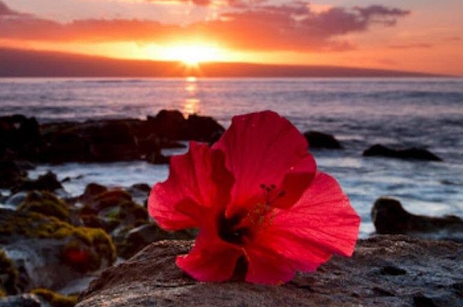 Luxury Airport Transfer in Hawaii - Drop-Off Done Right: Hotel and Private Residence Comfort