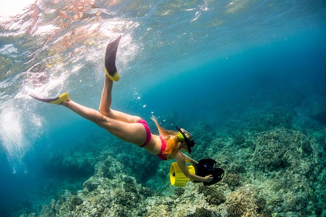 Luxury Kona Coast Snorkel Tour Including Lunch - Stop 2: Pali Kaholo with Rob’s Reef and Turtle Rock