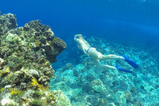 Luxury Kona Coast Snorkel Tour Including Lunch - Stop 3: Pu’u Ohau Red Hill when weather allows