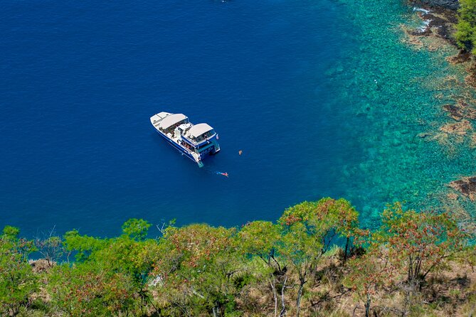 Luxury Kona Coast Snorkel Tour Including Lunch - In the water: what snorkeling feels like on this trip