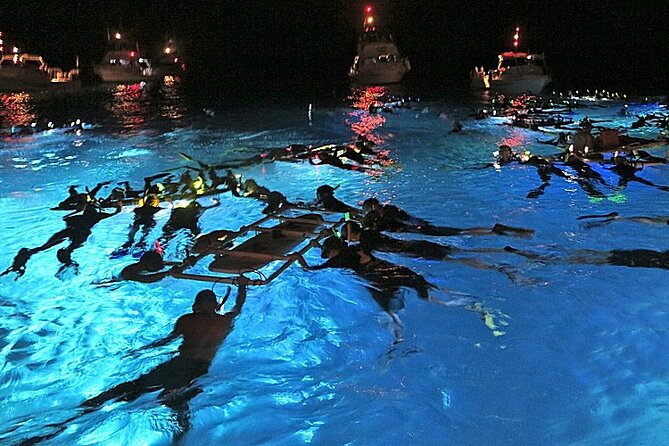 Manta Magic: Small-Group Manta Ray Night Snorkel in Kailua Kona - Key Things That Make This Tour Worth It