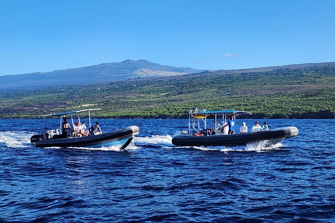 Manta Ray Night Snorkel at Kona, Big Island - On the Boat and in the Water: How the Snorkel Actually Works