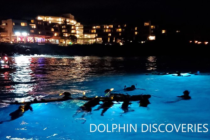 Manta Ray Night Snorkel at Kona, Big Island - Meeting a Wild Manta Ray: What to Watch for