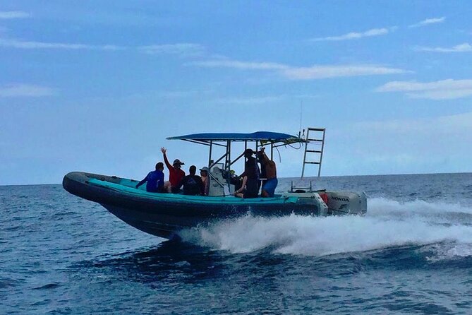 Manta Ray Night Snorkel at Kona, Big Island - Who Should Book This, and Who Should Skip It