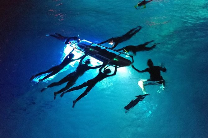 Manta Ray Night Snorkel Kona - Coral Reef Snorkel Adventures - Price: Is $125 Worth It for a Kona Manta Night?