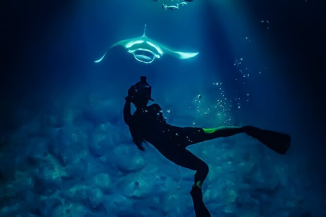 Manta Ray Night Snorkel Tour in Kailua-Kona, Big Island - Gear, wetsuits, and those platform details that can make or break comfort