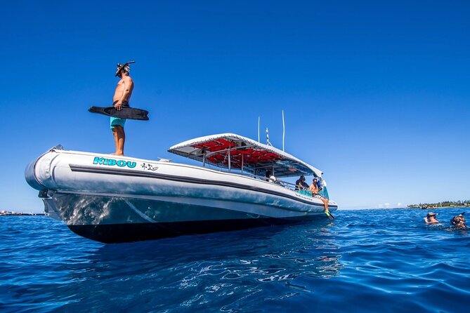 Manta Ray Snorkel Experience - Other wildlife sightings: a bonus, not a promise