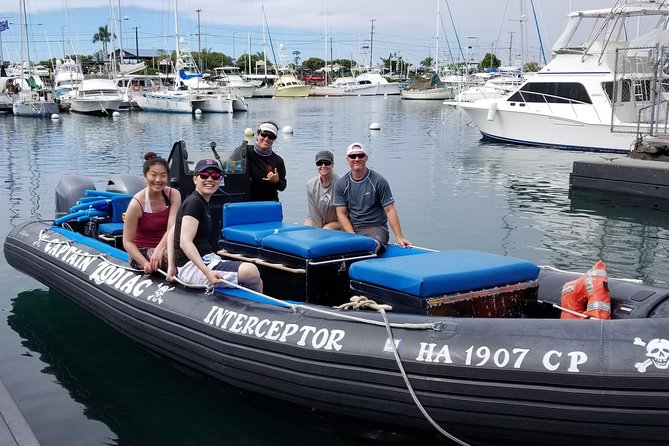 Marine Wildlife Excursion - Your 4-hour flow: what happens on the water