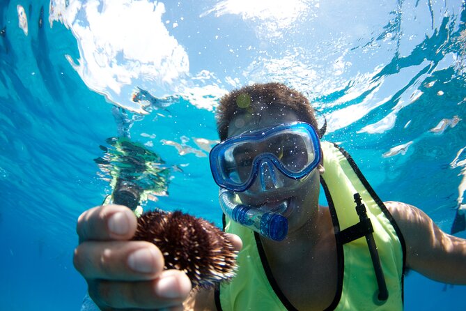 Mauna Kea 3hr Two Stop Sealife Snorkel Adventure - Key things to know before you go