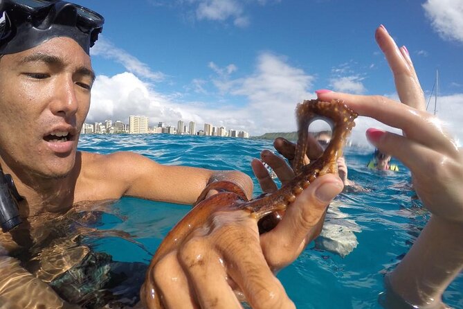 Mauna Kea 3hr Two Stop Sealife Snorkel Adventure - Snorkeling without the stress: sanitized gear and in-water coaching