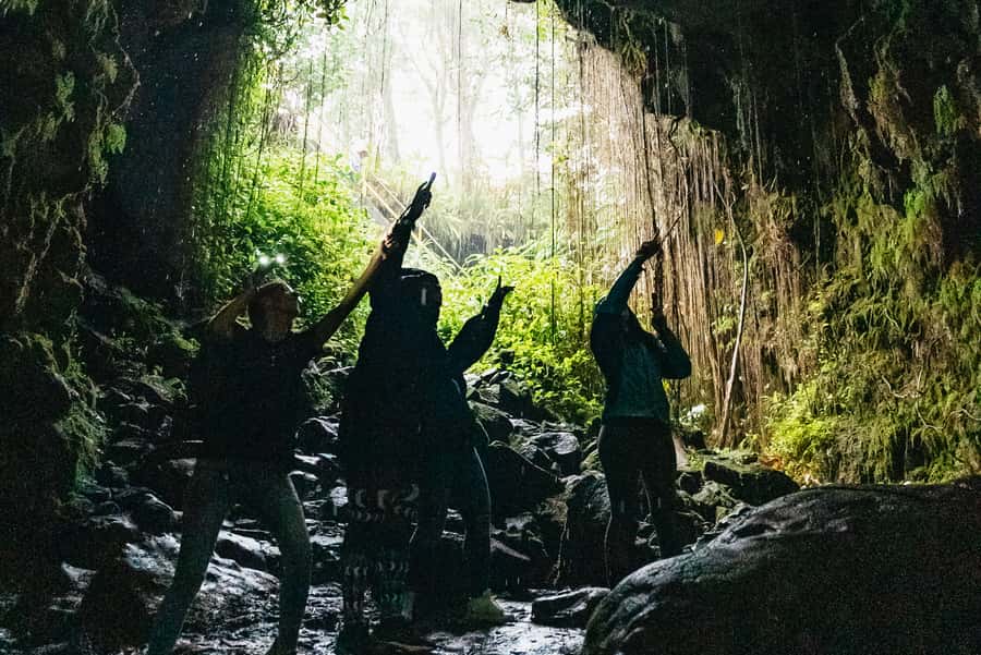 Mauna Kea: Stellar Explorer Tour from Hilo - Key things that make this Mauna Kea night tour work