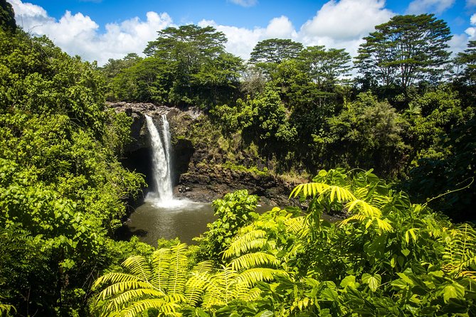Maunakea Stellar Explorer HILO - Kaumana Caves Park: picnic dinner in a lava-tube cathedral