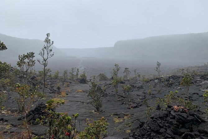 Meet in the park - Private Hawaii Volcanoes National Park Tour - Optional popular hike: when the timing feels right