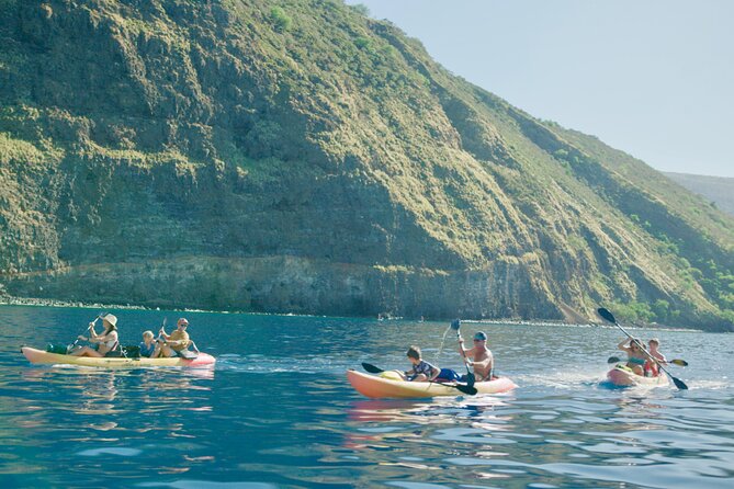 Midday Meander - Kealakekua Bay Kayak and Snorkel Adventure - Marine Life Conservation Rules briefing: where safety starts