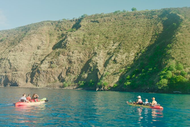 Midday Meander - Kealakekua Bay Kayak and Snorkel Adventure - Snorkeling at Kaawaloa: cliffs, coral depth, and what to expect