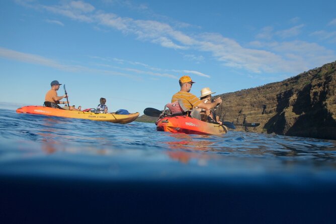 Midday Meander - Kealakekua Bay Kayak and Snorkel Adventure - Small-group pacing and the guide styles that make it fun