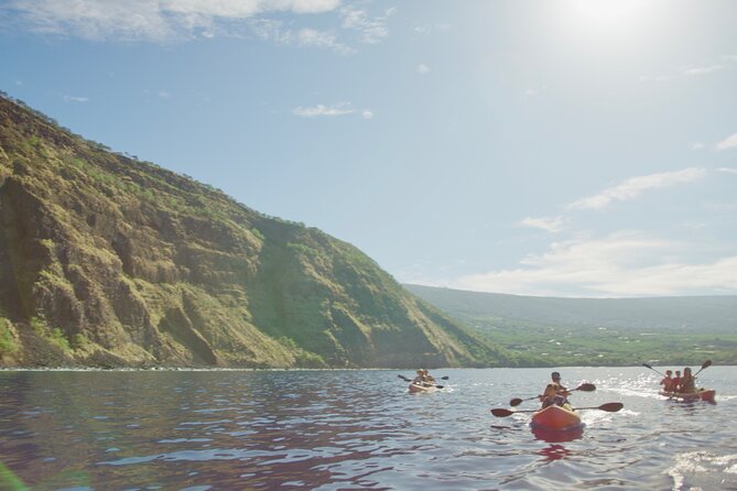 Morning Magic Kayak and Snorkel Adventure in Kealakekua Bay - Lunch by The Coffee Shack: fueling without dragging the day out