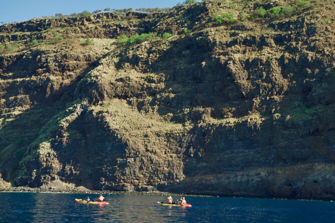 Morning Magic Kayak and Snorkel Adventure in Kealakekua Bay - Kayaking in the morning: crossing with guides who watch the details