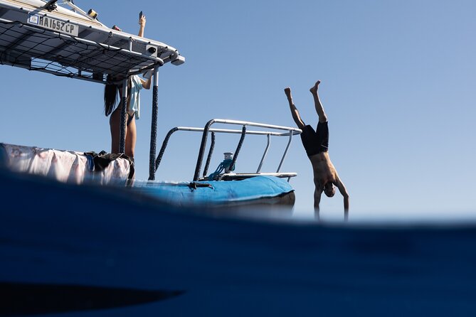 Offshore Wildlife Safari and Reef Snorkel - Quick hits before you go