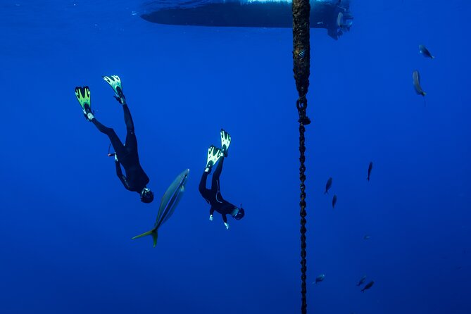 Offshore Wildlife Safari and Reef Snorkel - Crew style and small-group power: what Monet, Brenden, and Brandon seem to do well