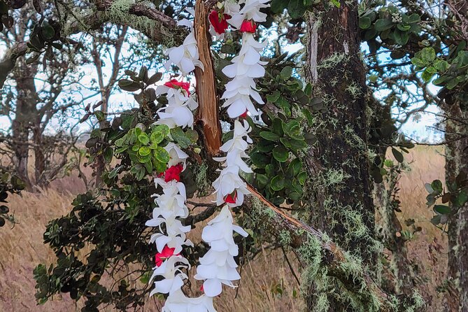 Port of Hilo to Volcano Tour - Rainbow Falls: when light, timing, and calm match up