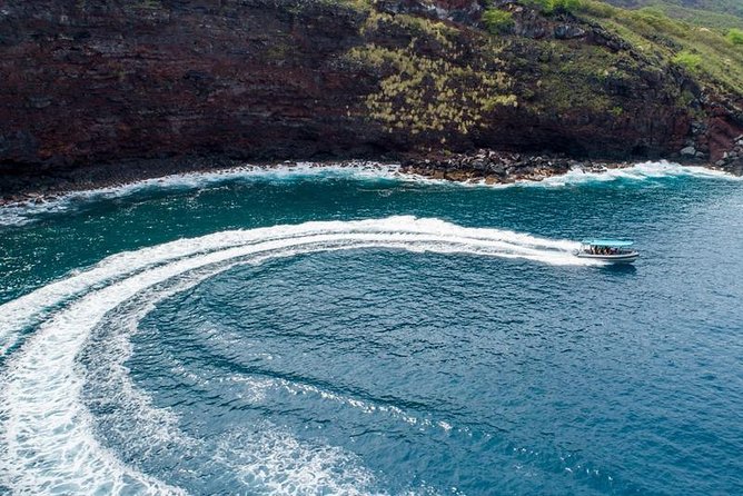 Premium Kona Coast Morning Snorkel - Puʻuhonua O Honaunau: The Place of Refuge, underwater edition